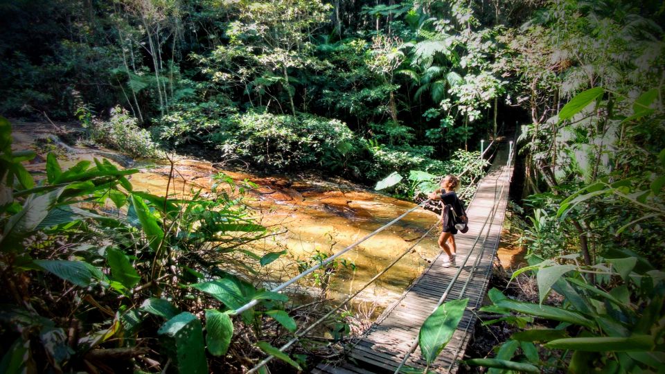 Parque Nacional da Tijuca - Rio de Janeiro Tripadv