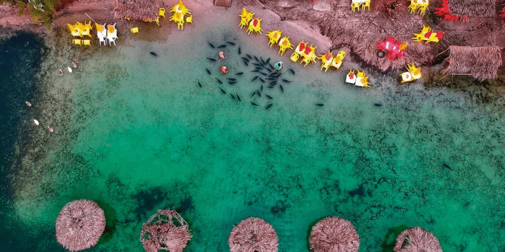 Lagoa dos Tambaquis - Fonte: Real Turismo