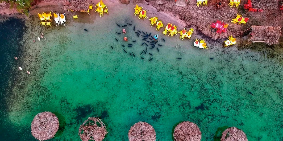 Lagoa dos Tambaquis - Fonte: Real Turismo