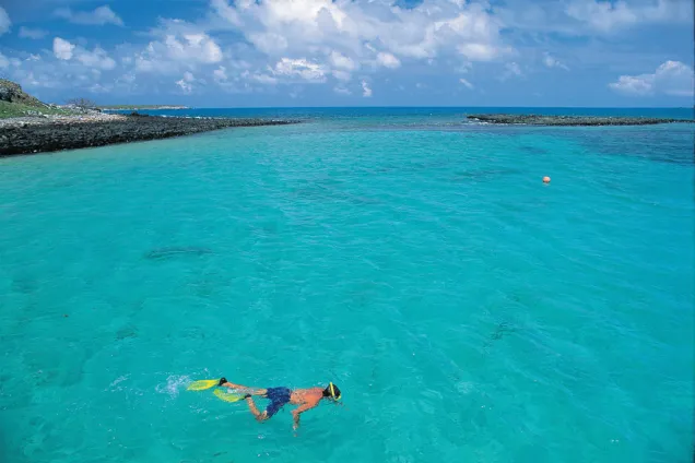 Mergulho em Abrolhos- Ivan Carneiro