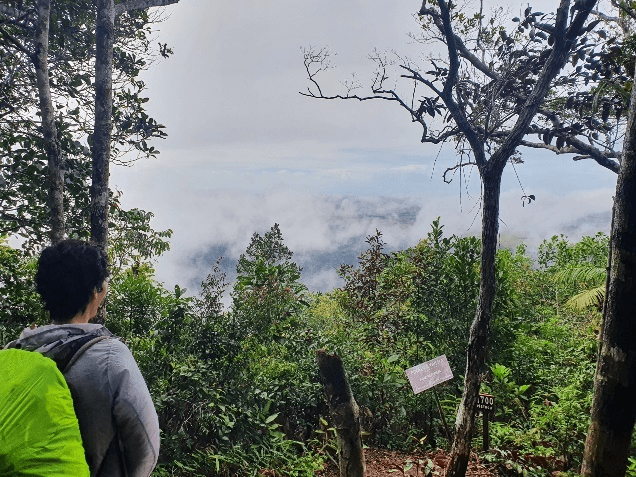 Parque nacional do monte pascoal