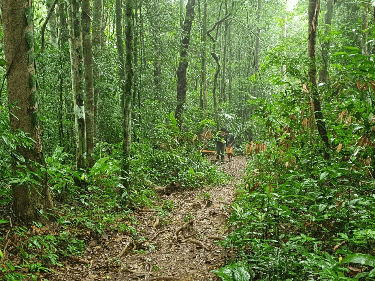 Parque nacional do monte pascoal