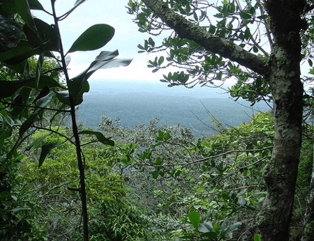 Parque nacional do monte pascoal