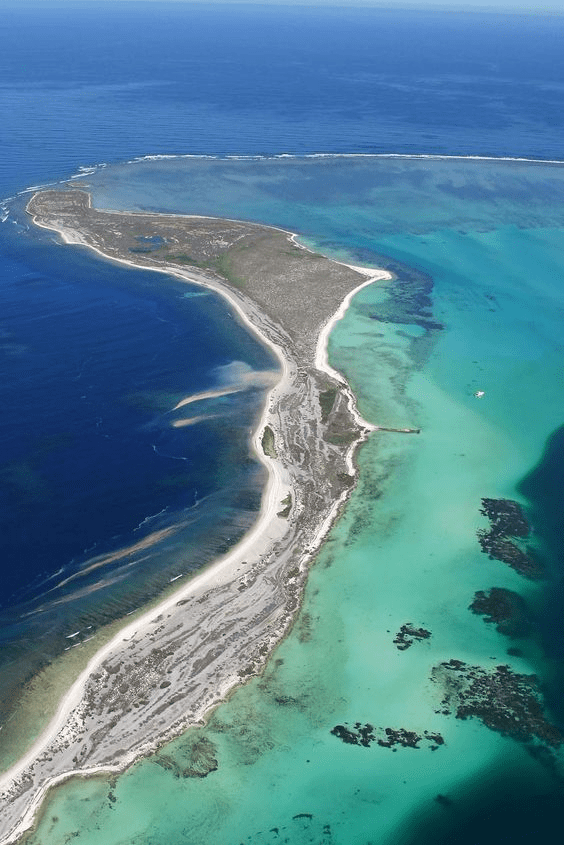 Abrolhos