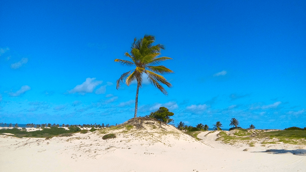 Praia do Mangue Seco