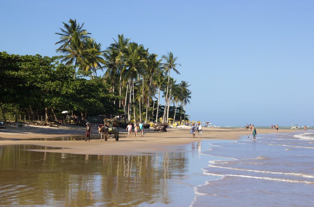 Praia dos coqueiros - Max (Flickr)