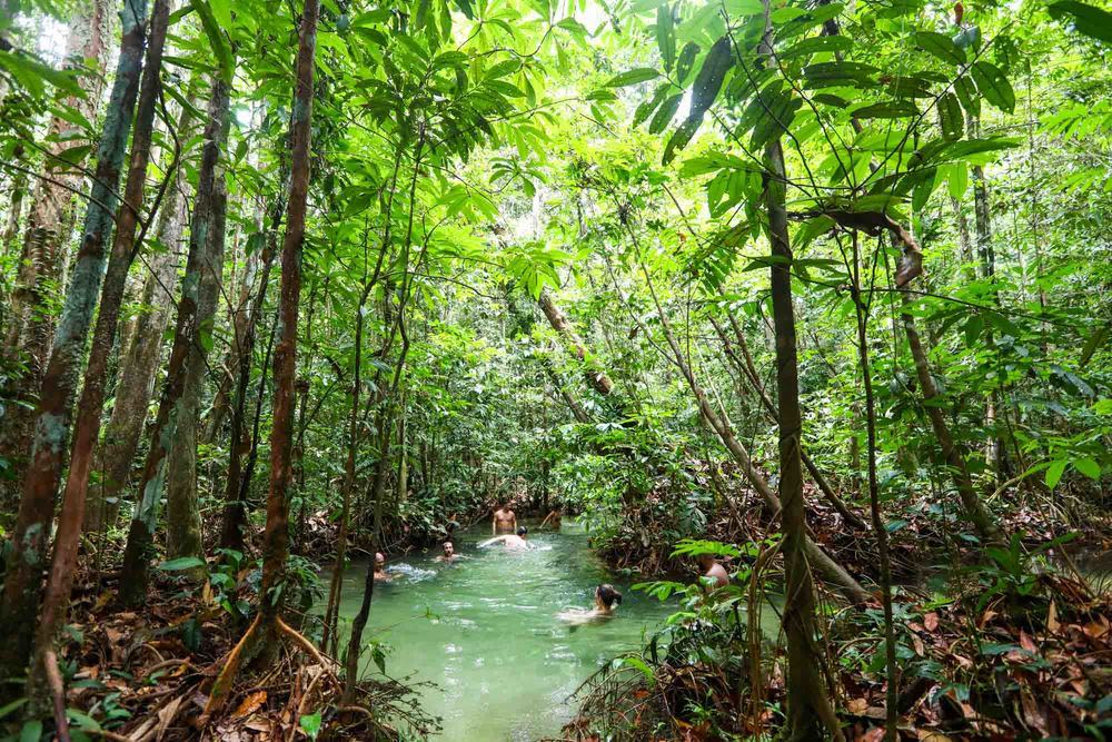 Floresta nacional do Tapajos