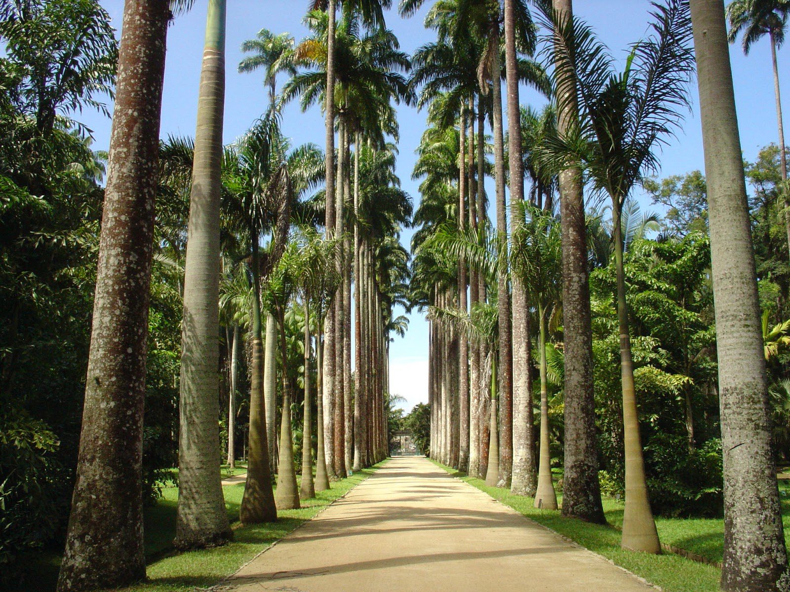 Jardim Botânico - Rio de Janeiro - Booking