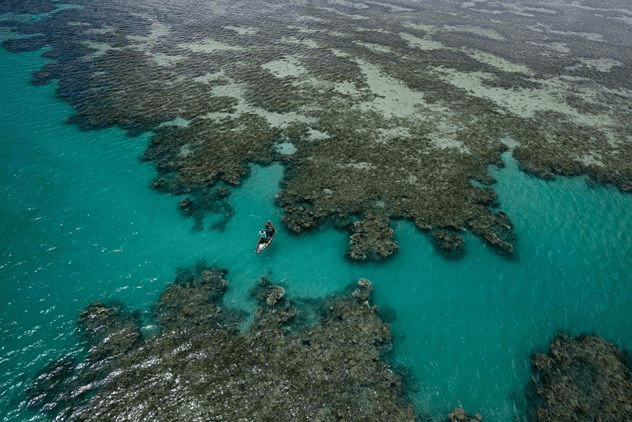 Parque nacional Abrolhos