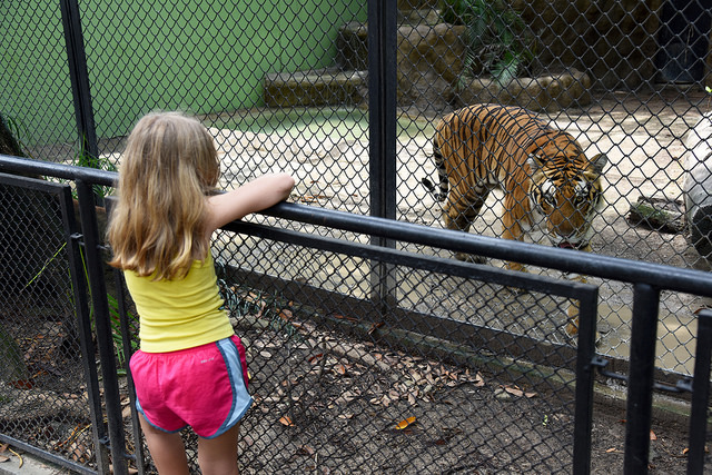 Jardim Zoológico do Rio de Janeiro - Prefeituradorio