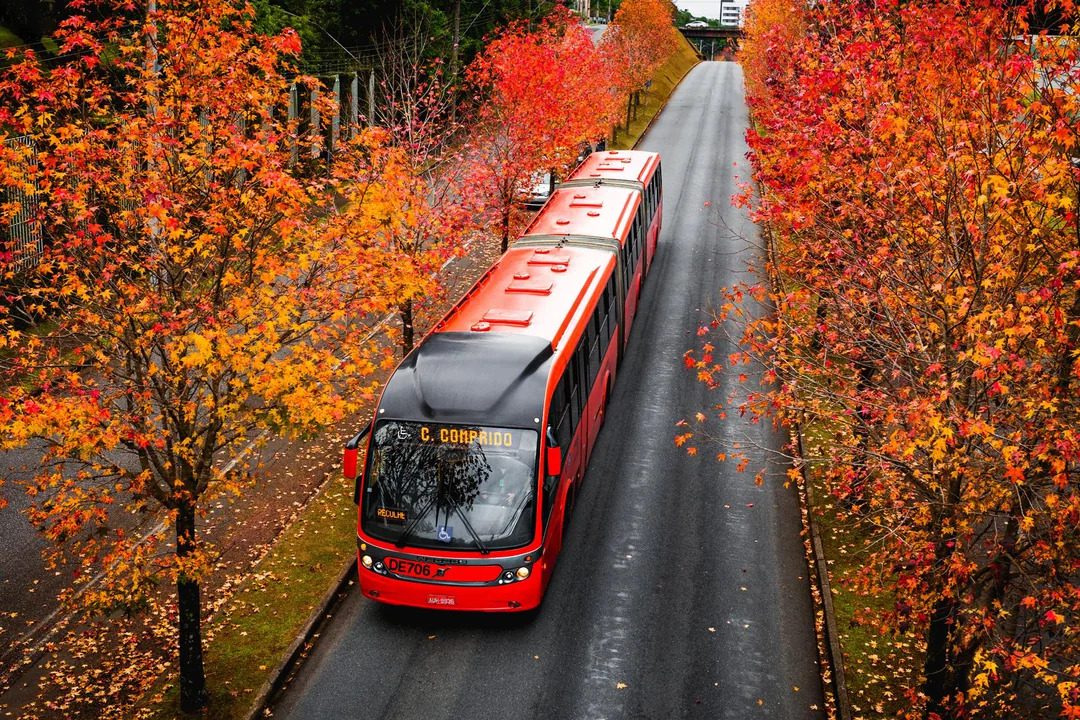 Ônibus em Curitiba - Reddit