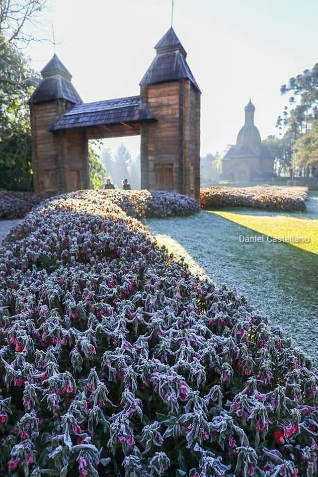 Parque Tingui Inverno - Curitiba