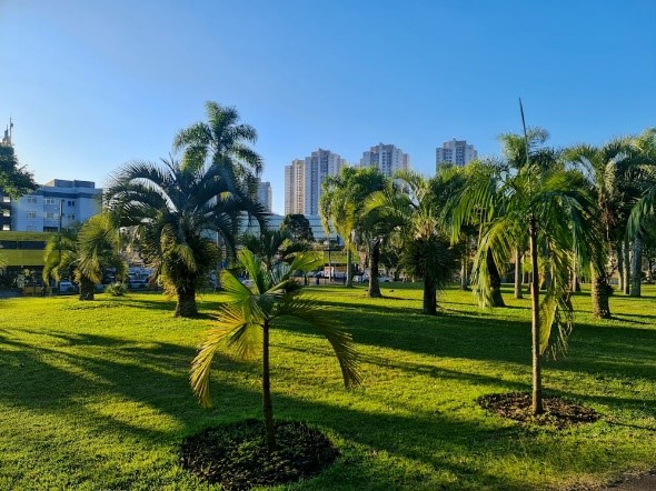 Parque durante o verão - Curitiba - Pexels