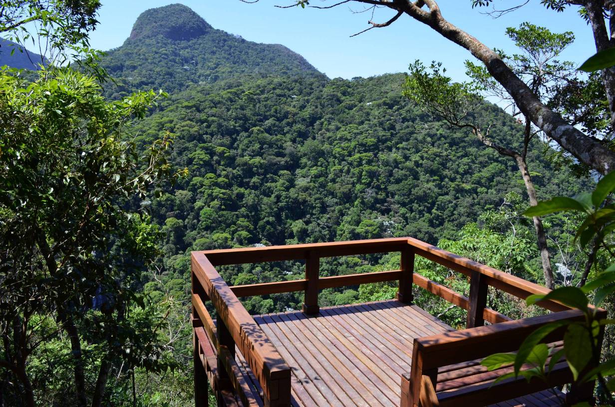 Floresta da Tijuca- Rio de Janeiro - Trispadv