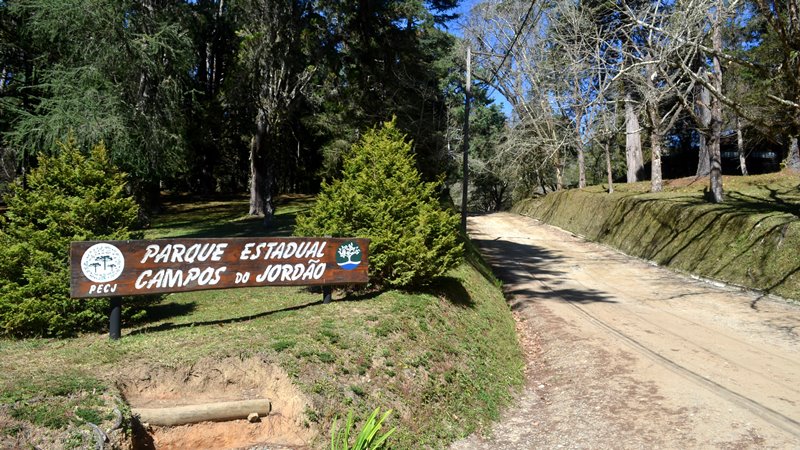 Horto Florestal - Campos do Jordão - guiacampos