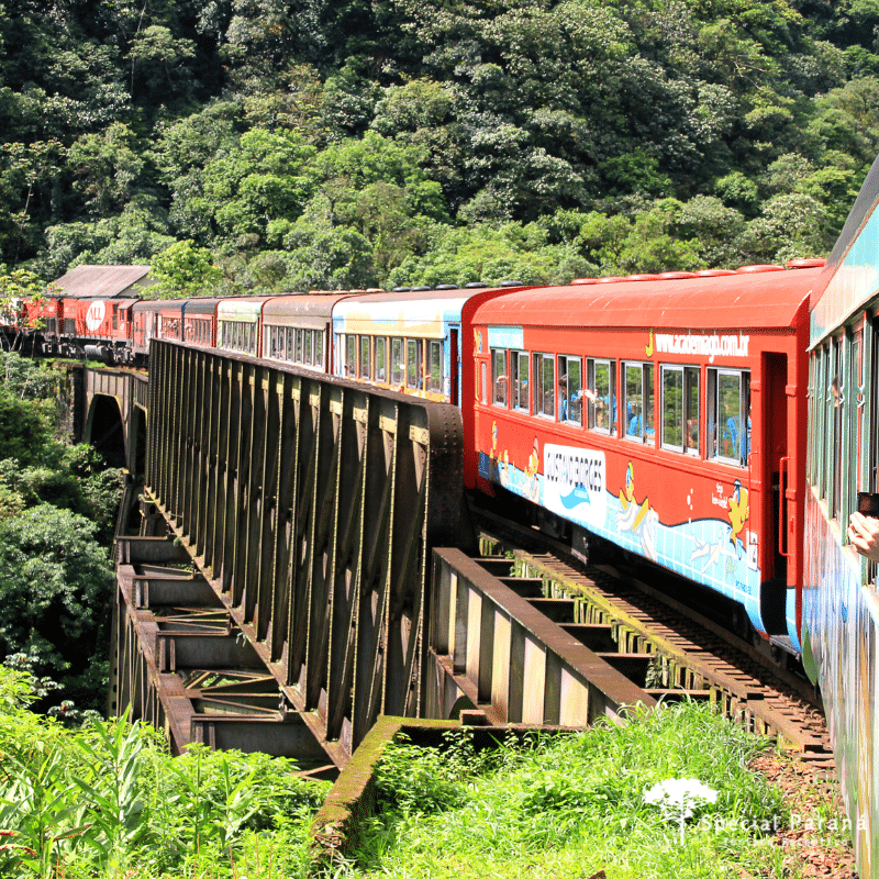 Passeio de Trem Morretes x Curitiba