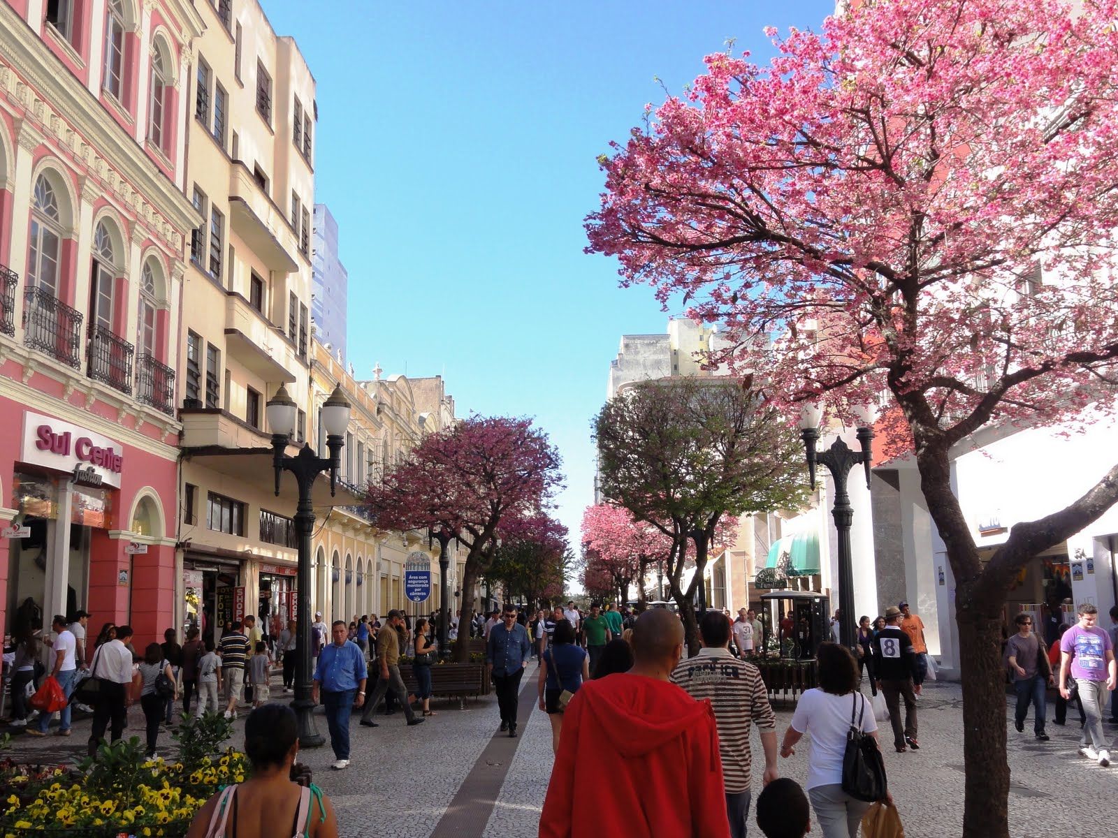 Rua das flores - Curitiba