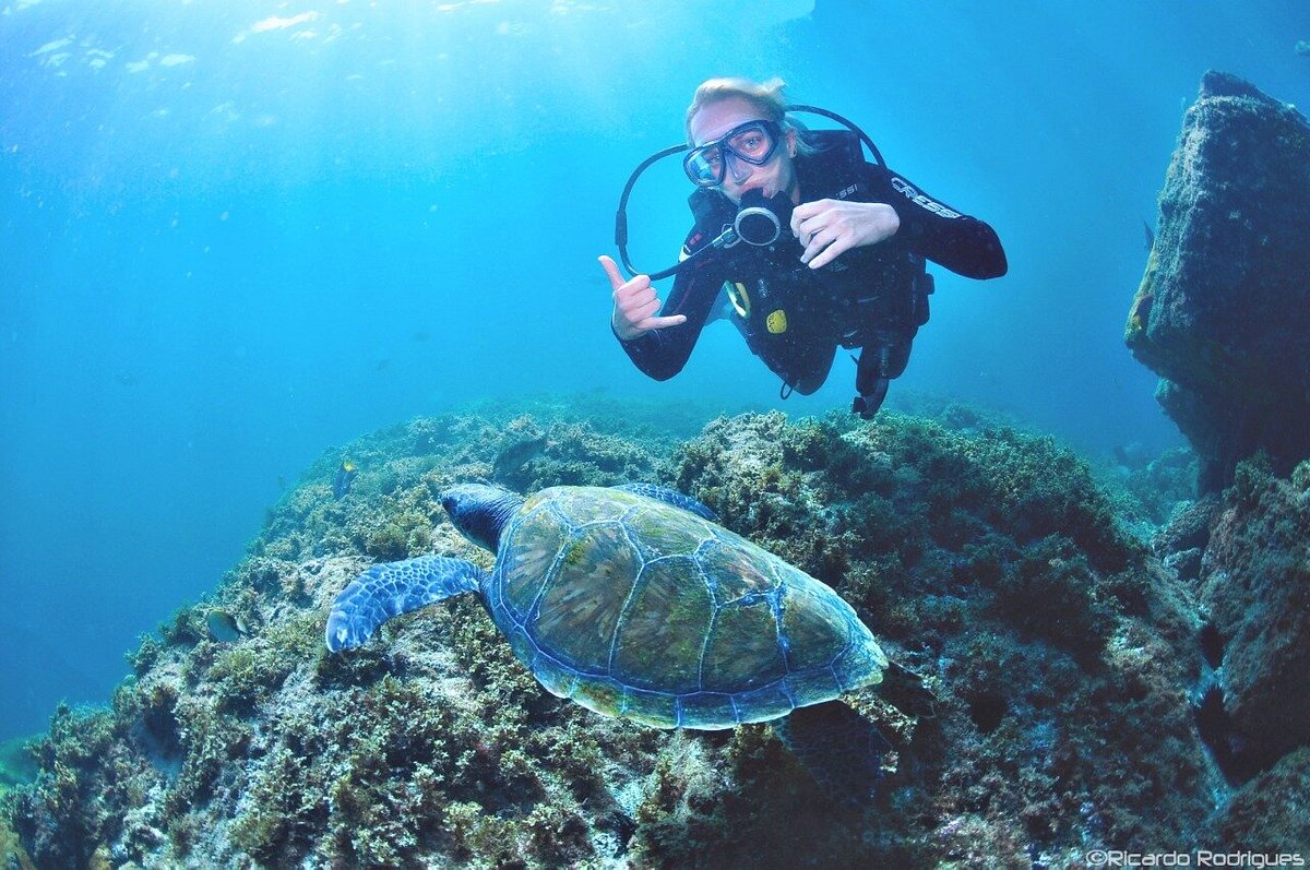 Mergulho - Ecodiving - Cabo Frio RJ