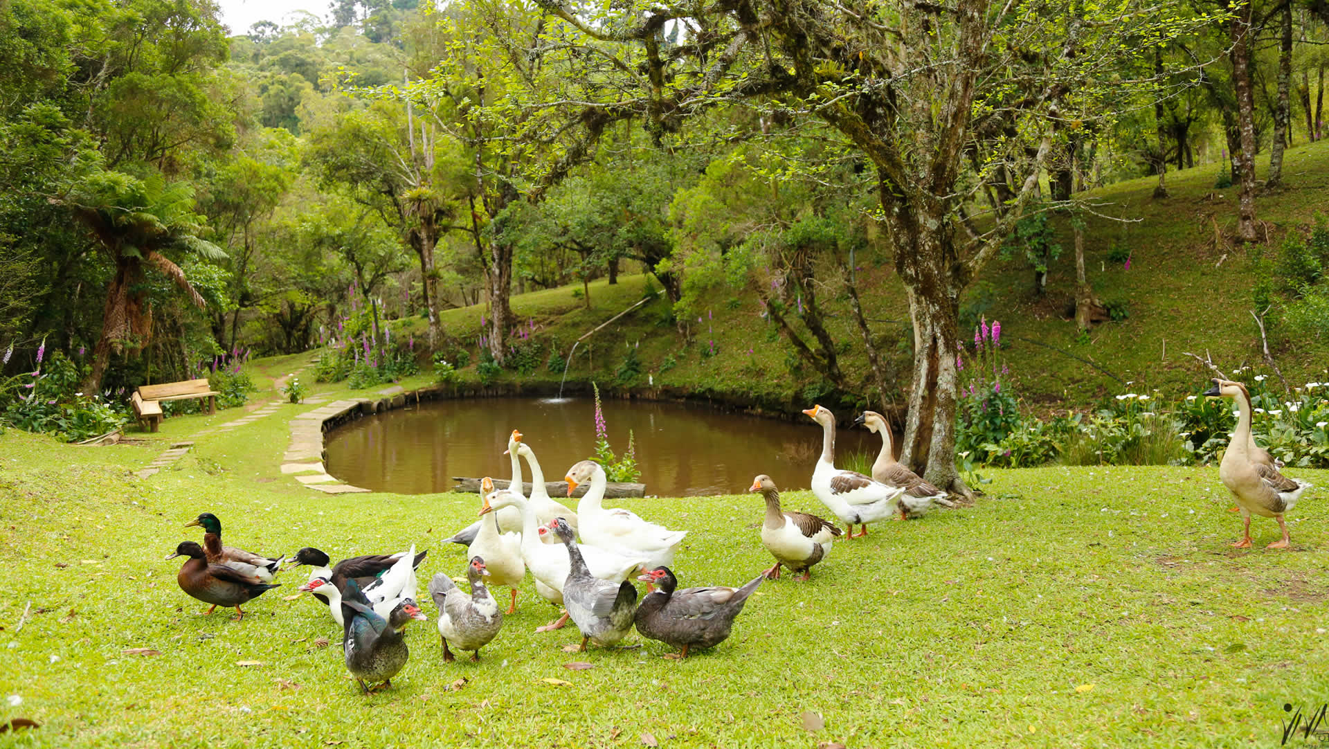 Fazendinha Toriba- Campos do Jordão -fazendinhatoriba.com.br