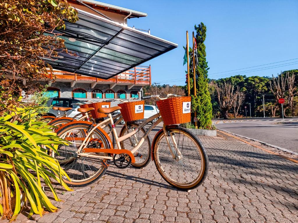 Bicicleta em Campos do Jordão - Tripadvisor