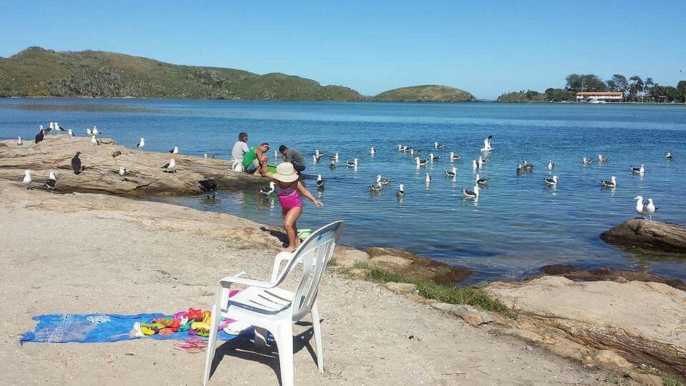 Ilha do Japonês - Cabo Frio RJ - Riolagos