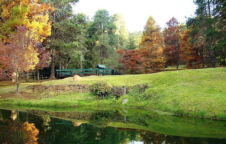 Horto Florestal Campos do Jordão - Tripadvisor