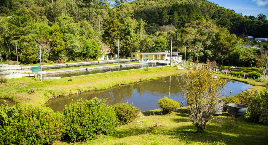 Pesqueiro Truta Azul -Campos do Jordão - trutaazul.com.br