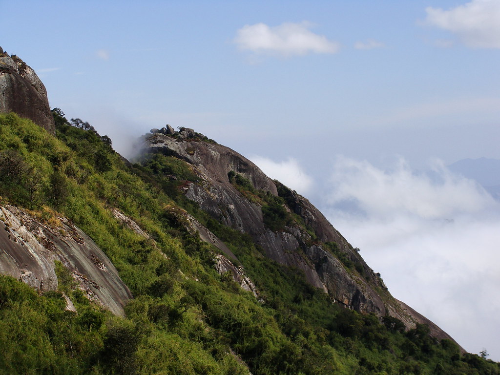 Pico do Selado - Monte Verde - Foto: Niels Sörensen