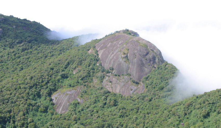 Trilha do Chapéu do Bispo - Monte Verde - monteverde.org.br