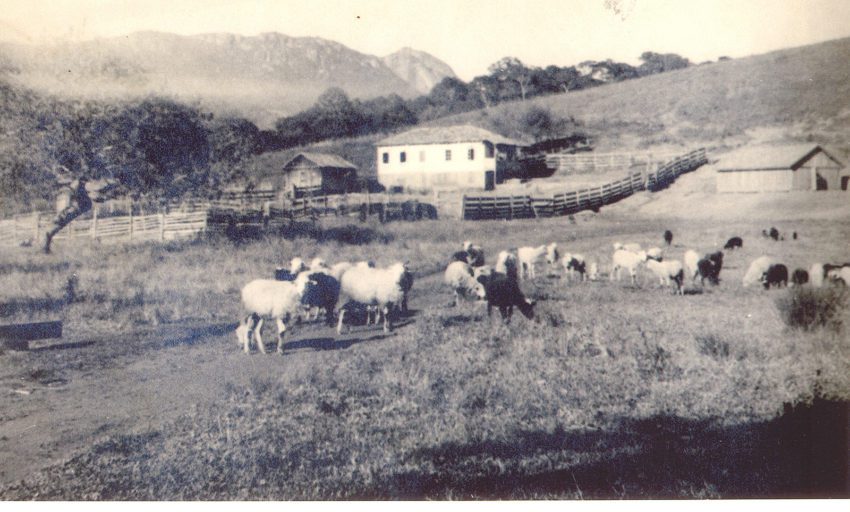 Imagem Histórica de Monte Verde - monteverde.org.br