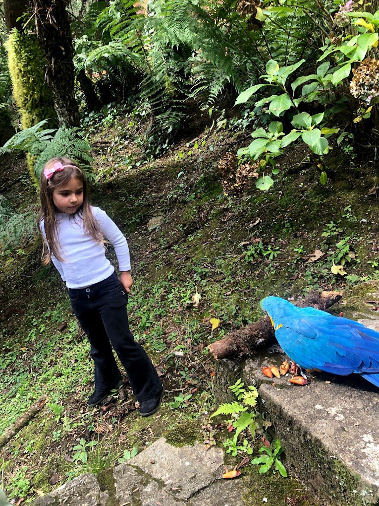 Criança observando uma arara no Espaço Adélia em Monte Verde