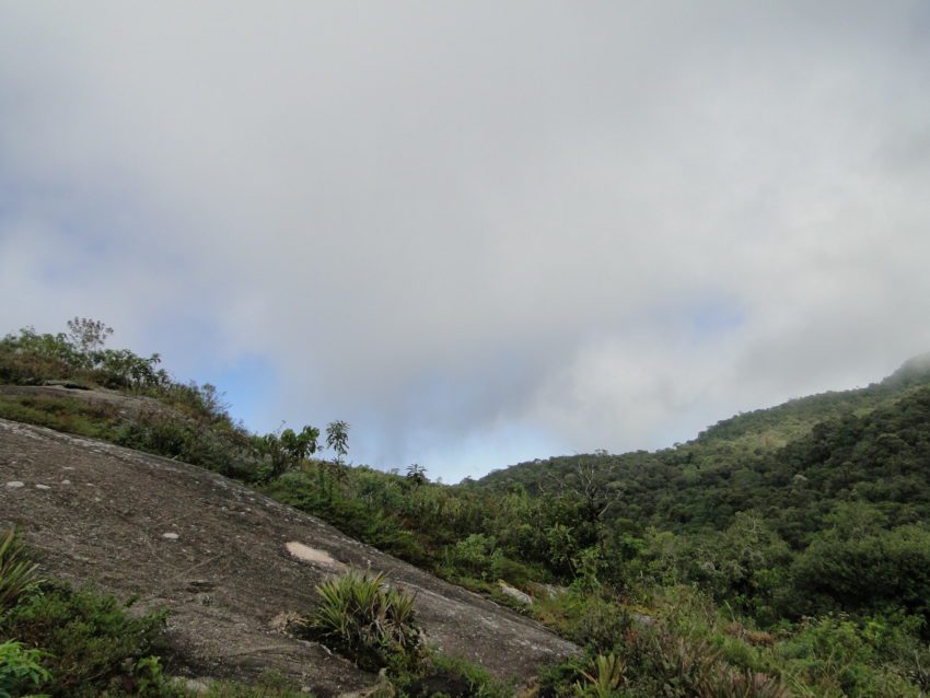 Trilha do Pico Selado - Monte Verde - Portal monteverde.org