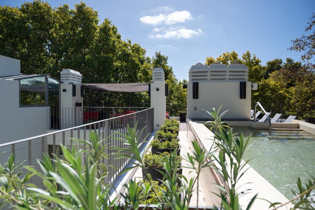 Piscina descoberta do hotel com plantas ao lado