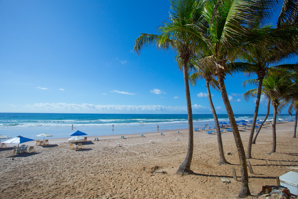 Praia do Flamengo com extensa faixa de areia e coqueiros