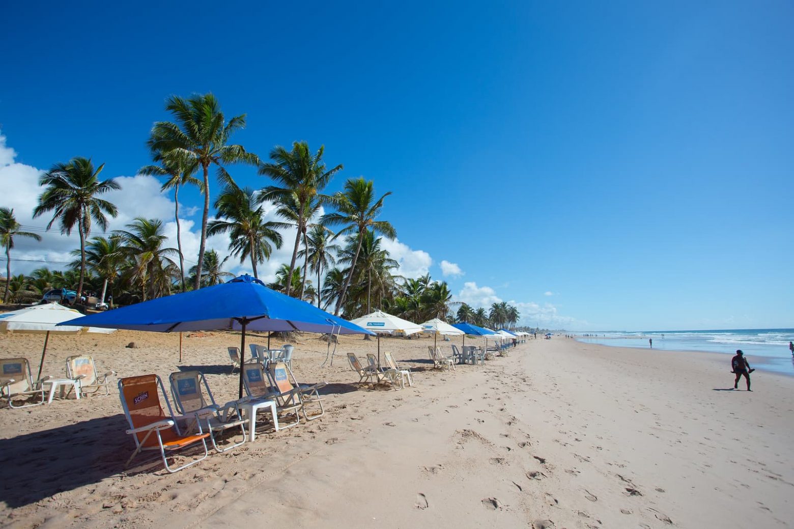 Praia do Flamengo com extensa faixa de areia e guarda-sóis