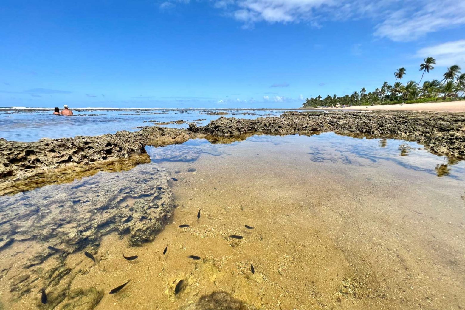 Praia do forte com piscina natural e peixinhos