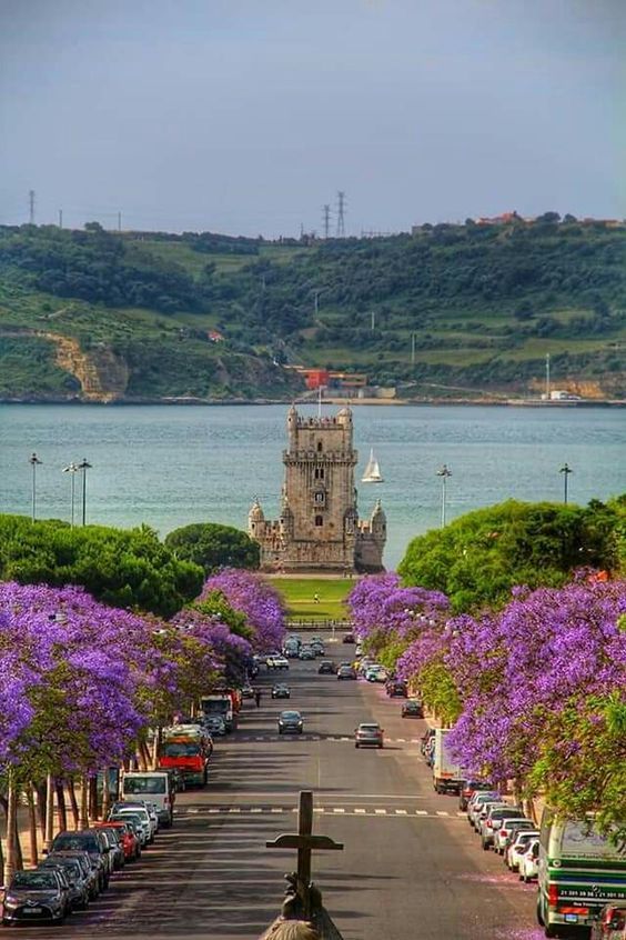 Jacarandás roxos, rua com carros, Torre de Belém ao fundo e o rio Tejo. Lisoba, Portugal