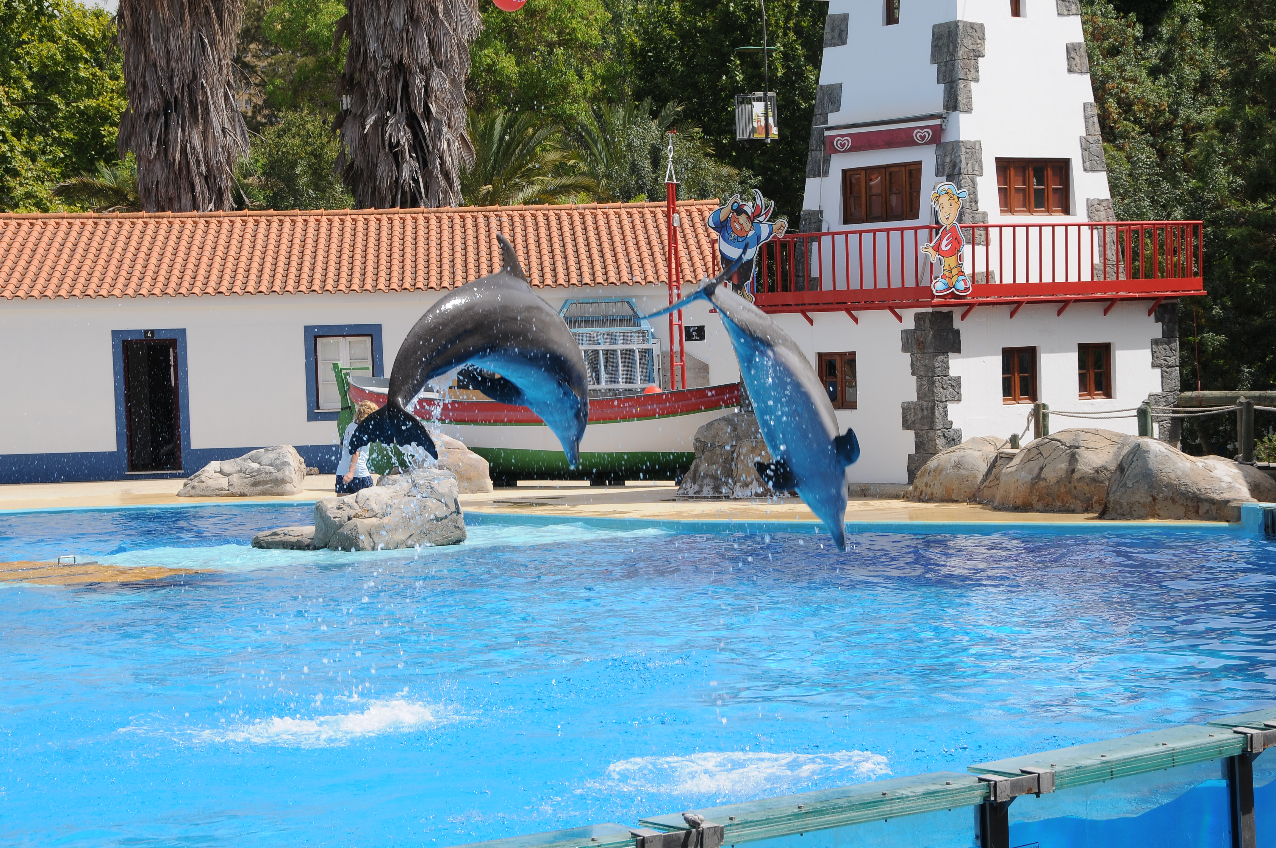 Show de bolfinhos em uma piscina no Jardim Zoológico de Lisboa