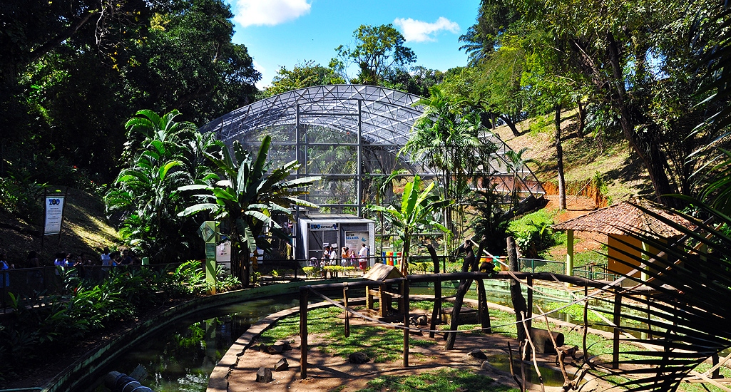 Natureza exuberante no Zoológico de Salvador