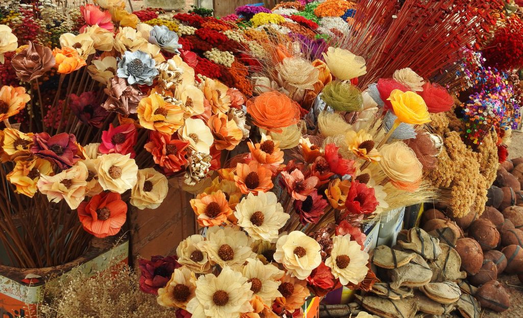 Flores secas do cerrado, Feira da Torre de TV, Brasília