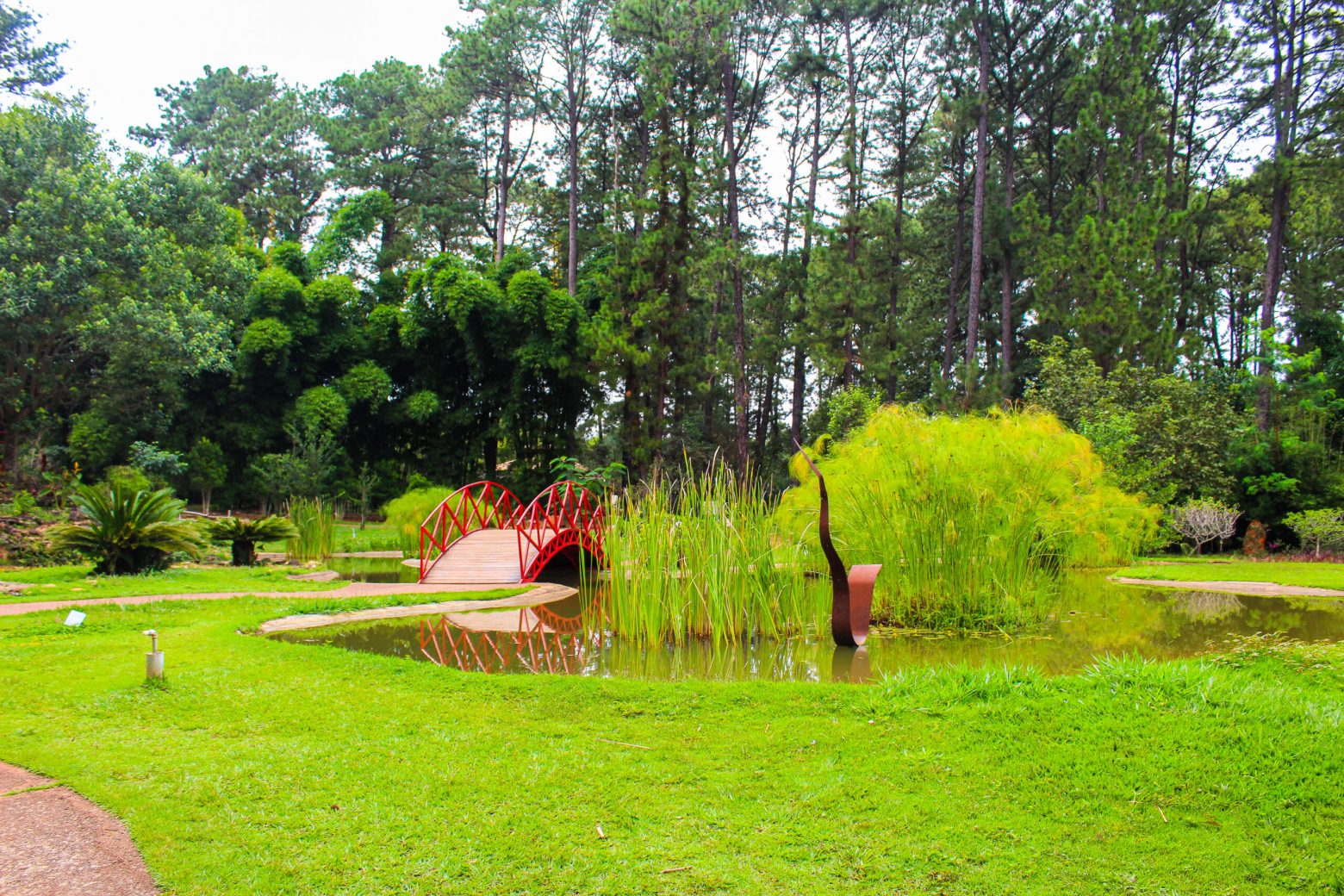 Jardim Japonês e espelho d´água no Jardim Botânico de Brasília.