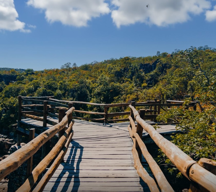 Parque Chapada dos Veadeiros - Trilha