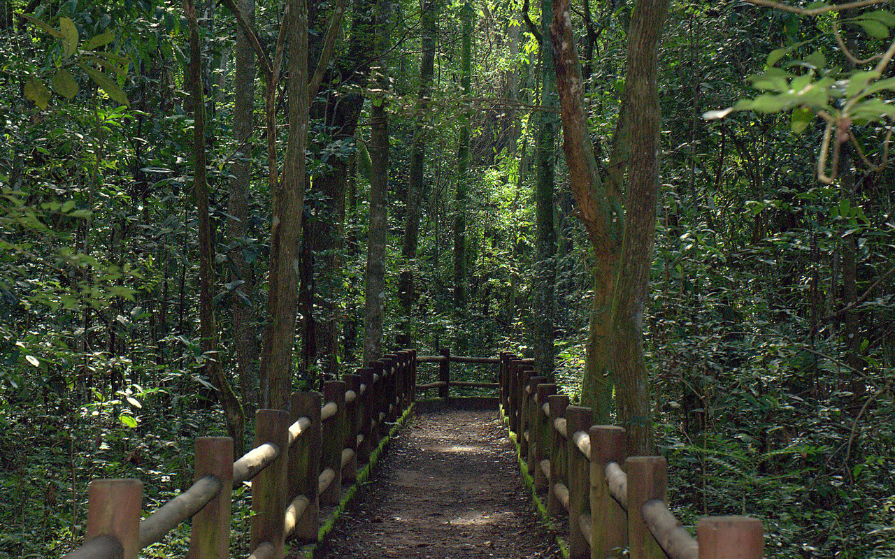 Trilha da Capivara - Parque Nacional de Brasília