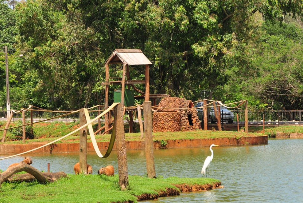 Lago do Zoológico de Brasília