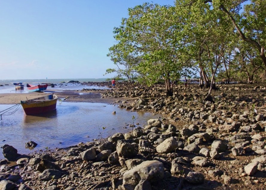 Mangue de Pedra - Búzios