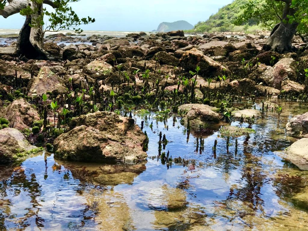 Piscinas naturais do Mangue de Pedras em Búzios