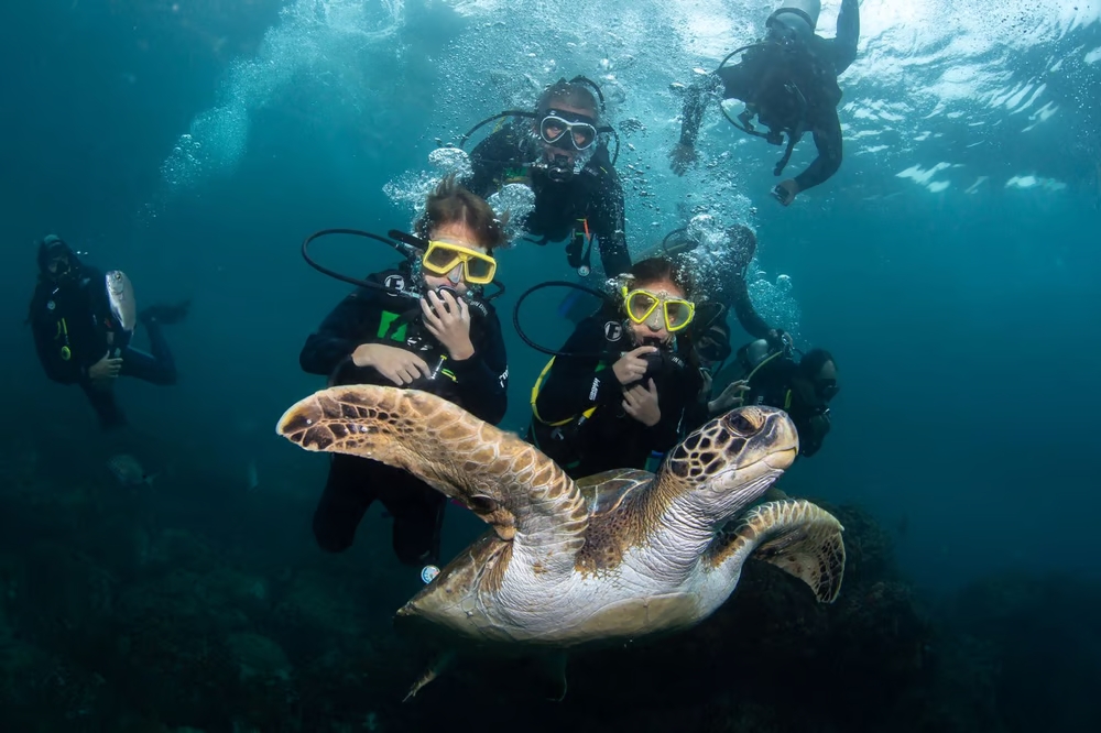 Mergulho na Ilha da Âncora -Búzios