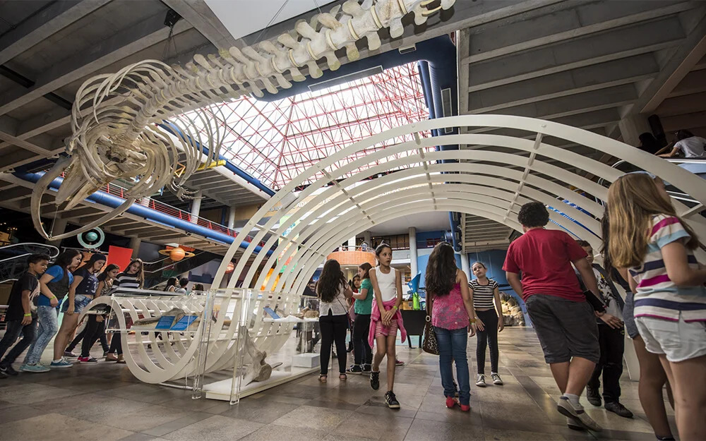 Esqueleto e pessoas no Museu de Ciências e Tecnologia PUCRS