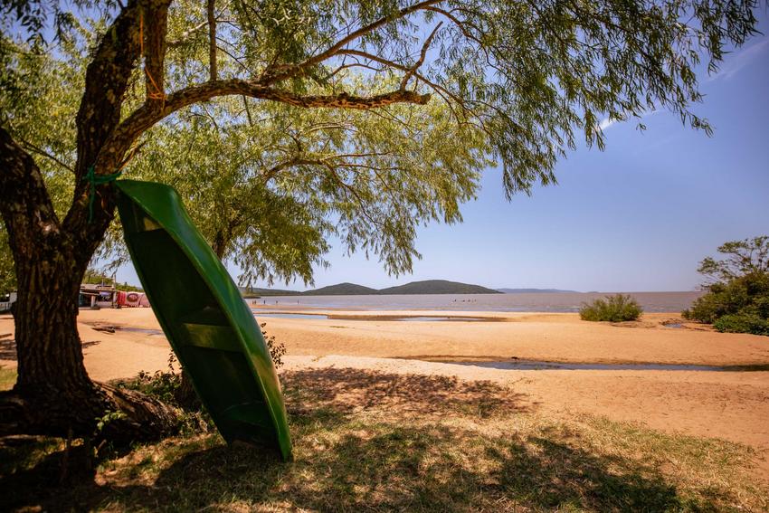 Barco, árvore e praia de água doce, Porto Alegre